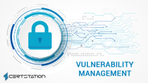 Importance of Vulnerability Management