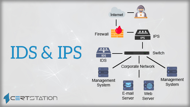 Difference Between IPS And IDS Download Detailed Comparison, 54% OFF